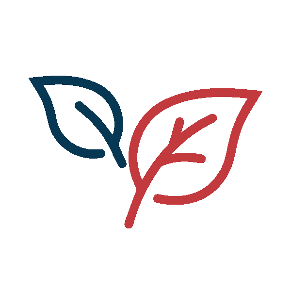 Two leaves icon 